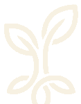 The Evergreen Foundation